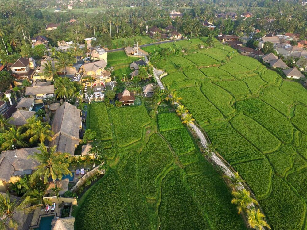 Wapa di Ume Ubud Resort Hotel Original Asia Rondreis Bali Vakantie Indonesie