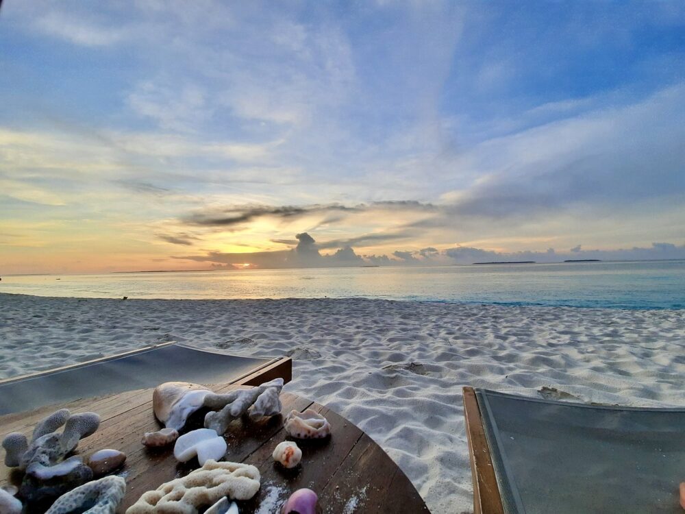 barefoot maldives malediven original asia rondreis sri lanka malediven vakantie schelp