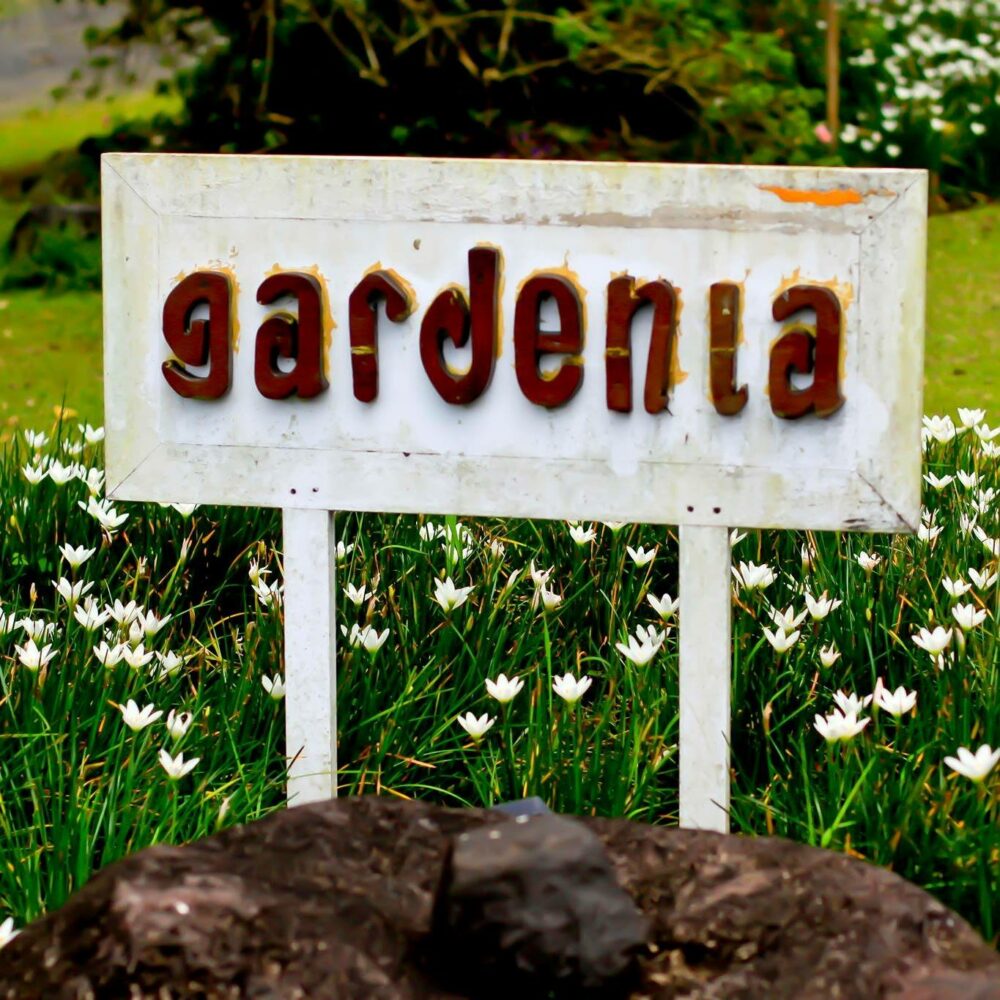 Gardenia Country Inn Tomohon sulawesi original asia rondreis indonesie sulawesi vakantie gardenia