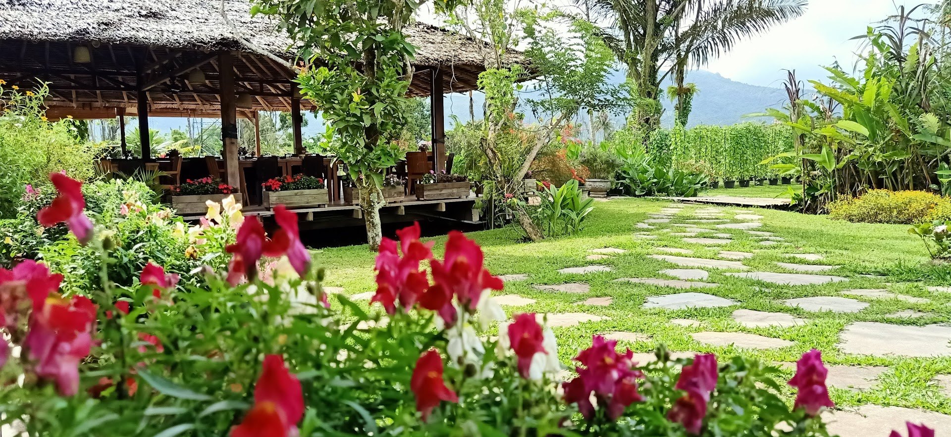 Gardenia Country Inn Tomohon sulawesi original asia rondreis indonesie sulawesi vakantie tuin