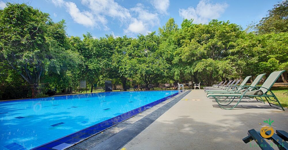 Hotel Kassapa Lions Rock Sri Lanka original asia rondreis sri lanka malediven pool1