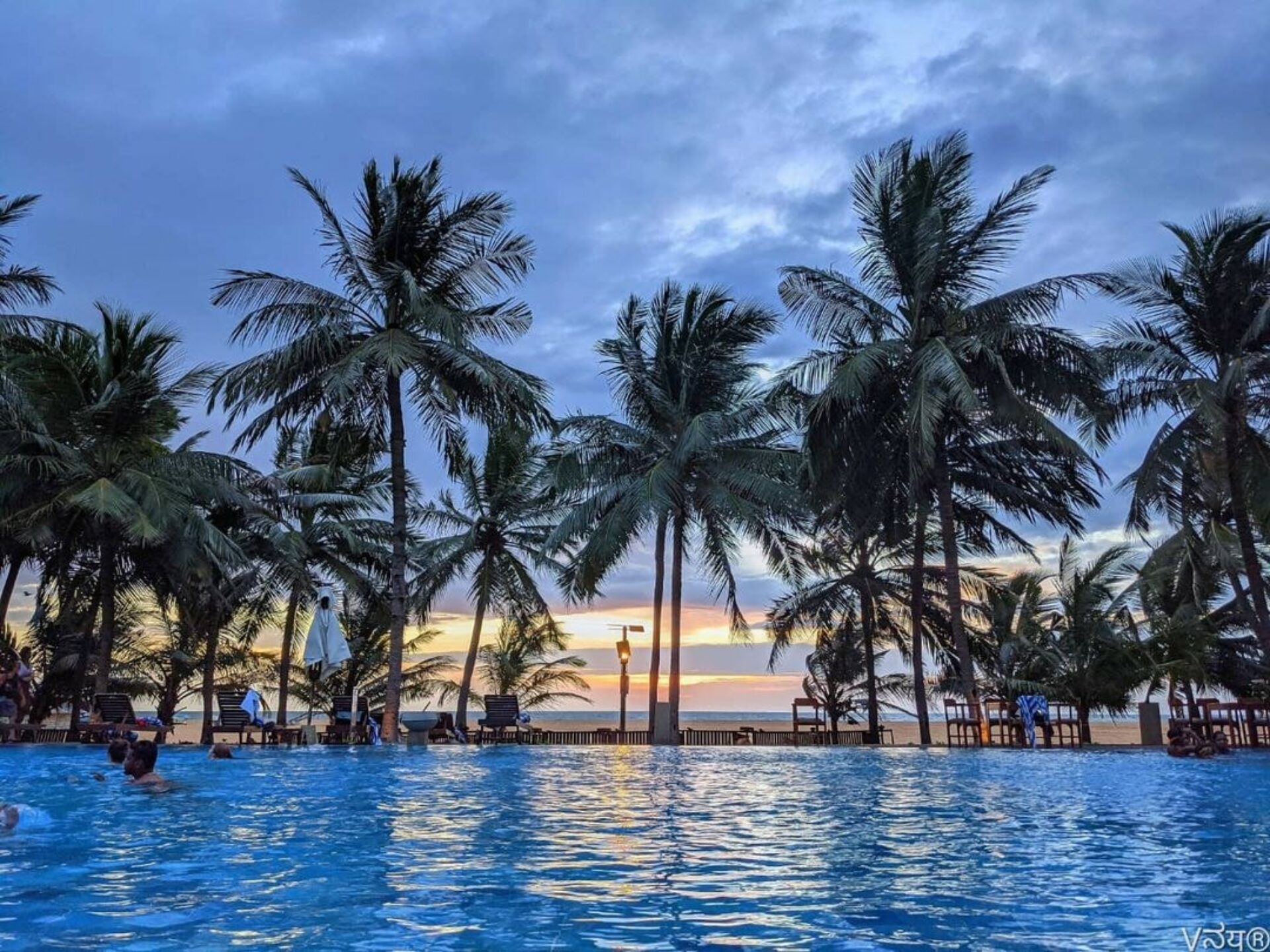 Jetwing Blue Resort Sri Lanka original asia rondreis sri lanka malediven vakantie palm