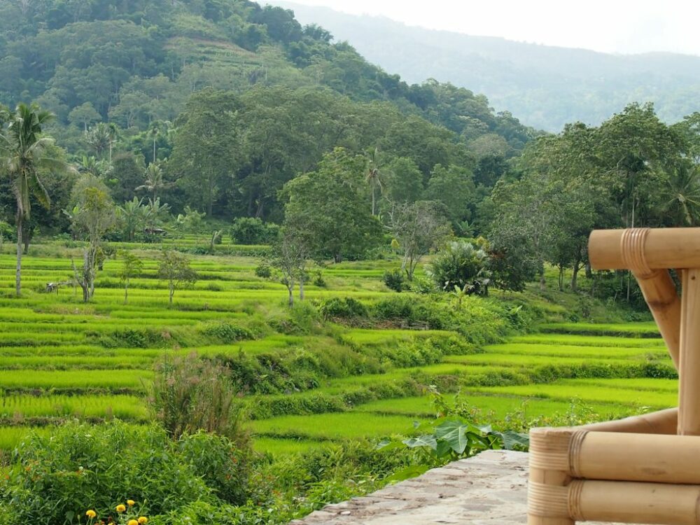 Kelimutu Ecolodge Flores Rondreis Indonesia Vakantie Original Asia