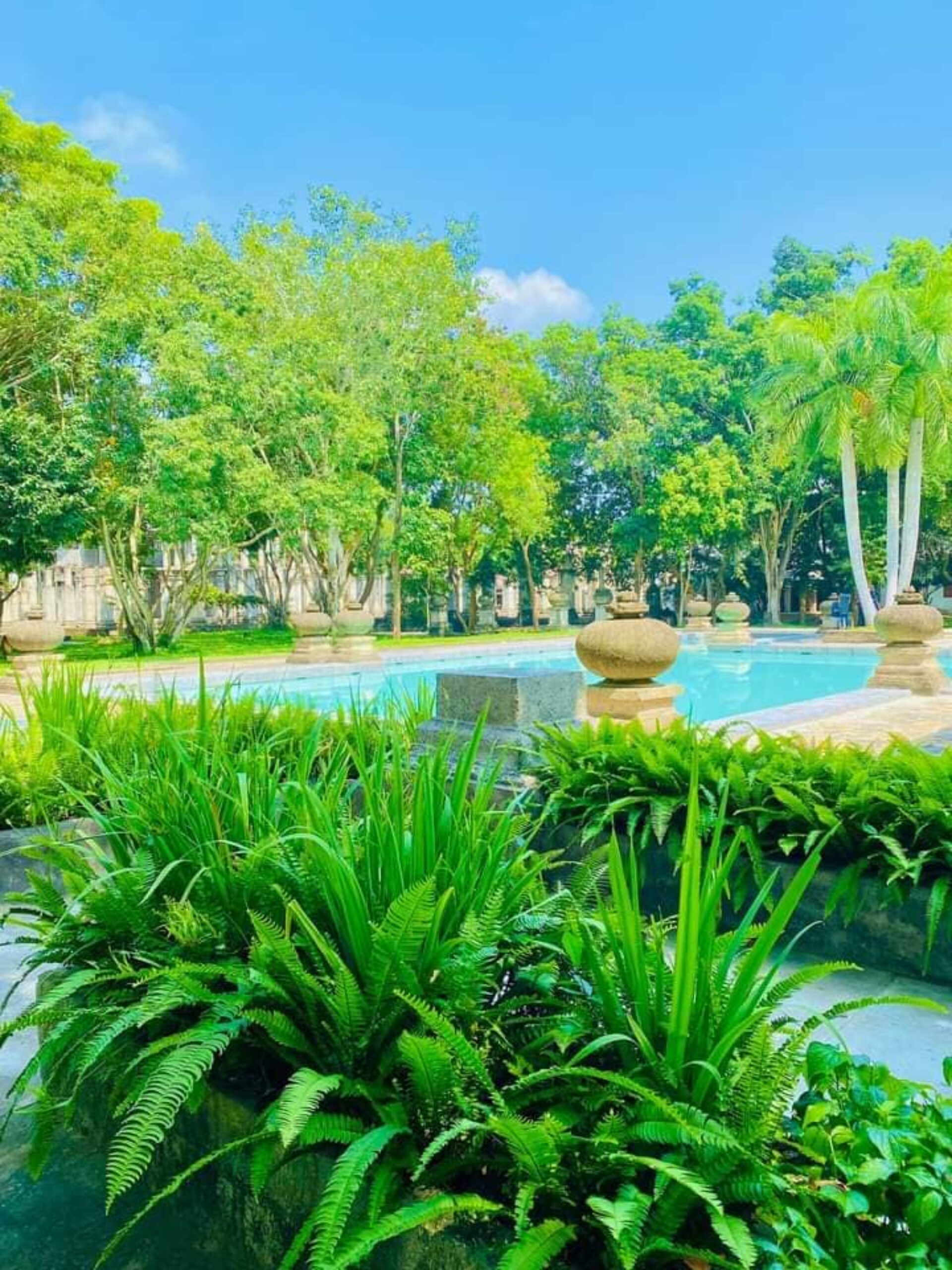 Palm Garden Village Sri Lanka original asia rondreis sri lanka malediven vakantie pool