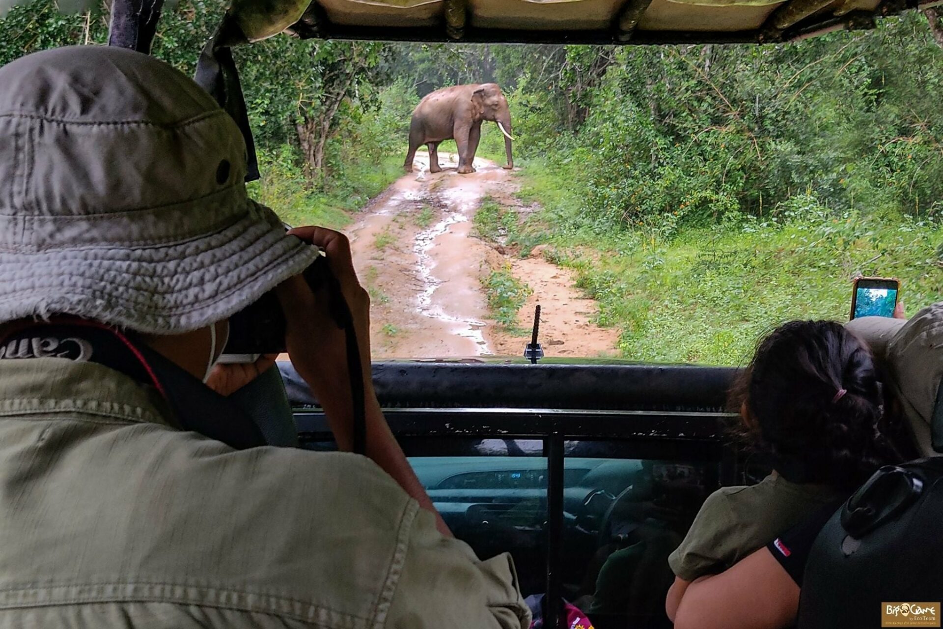 Big Game Camp Yala Sri Lanka Tissamaharama original asia rondreis sri lanka malediven safari1