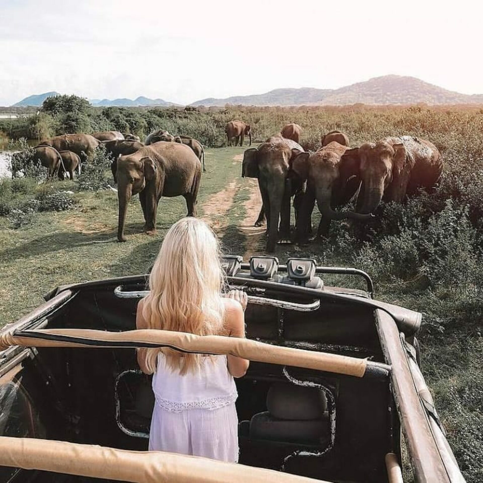 Cassandra Culture Resort Sigiriya Rondreis Sri Lanka Vakantie Original Asia