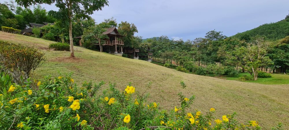 Cliff and River Jungle Resort Khao Sok Hotel Rondreis Thailand Vakantie Original Asia