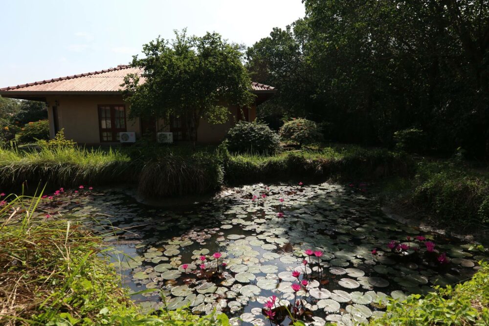 Hibiscus Garden Resort Sri Lanka Tissamaharama original asia rondreis sri lanka malediven bungalow