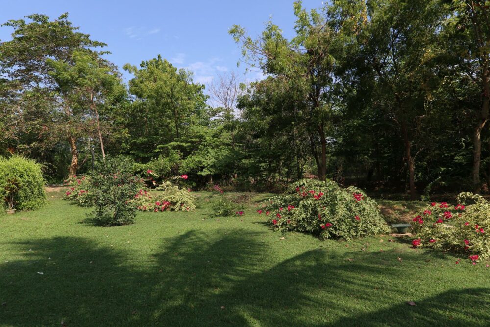 Hibiscus Garden Resort Sri Lanka Tissamaharama original asia rondreis sri lanka malediven tuin