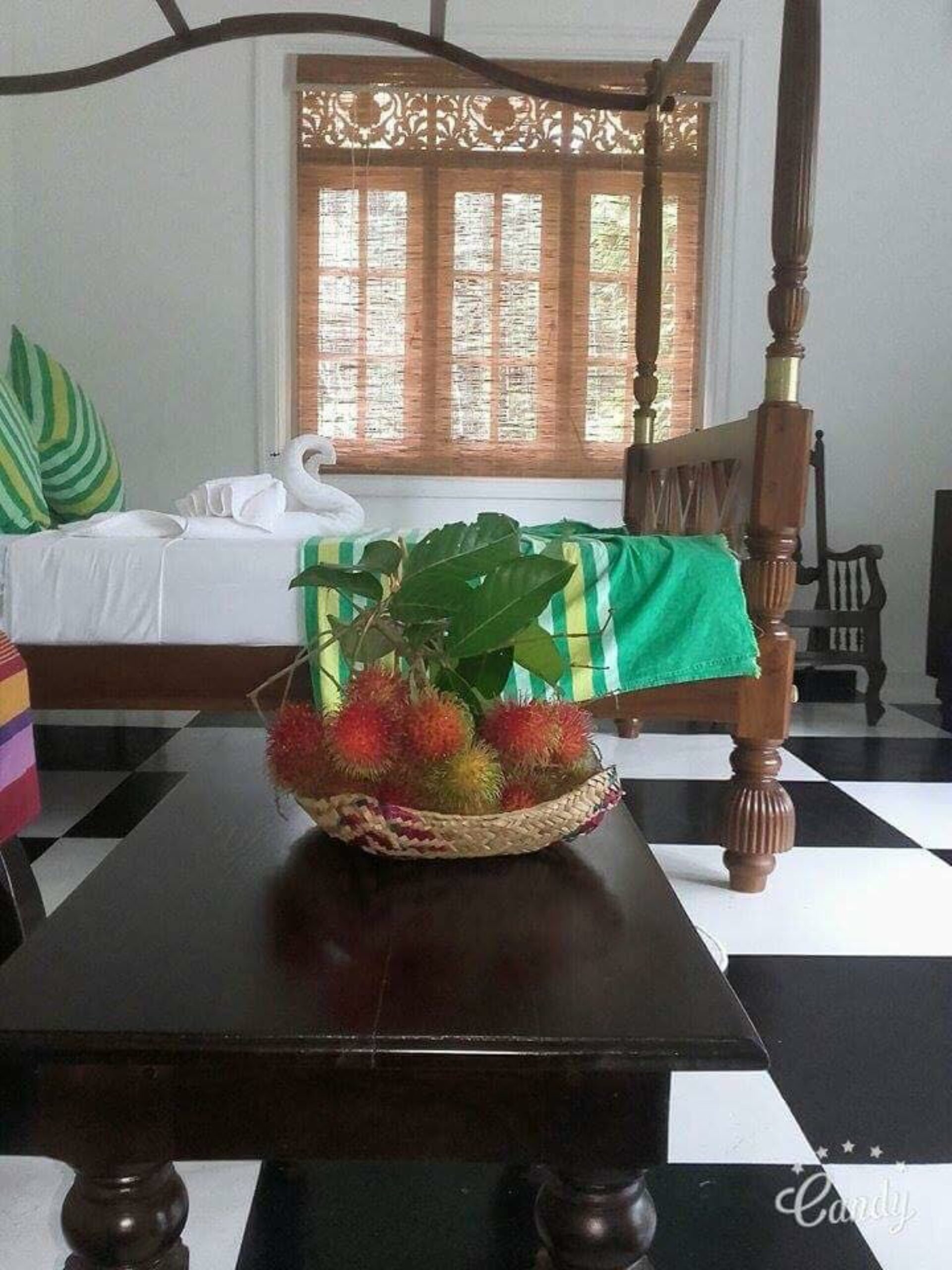 Jansens Bungalow Sri Lanka Sinharaja original asia rondreis sri lanka malediven bed3