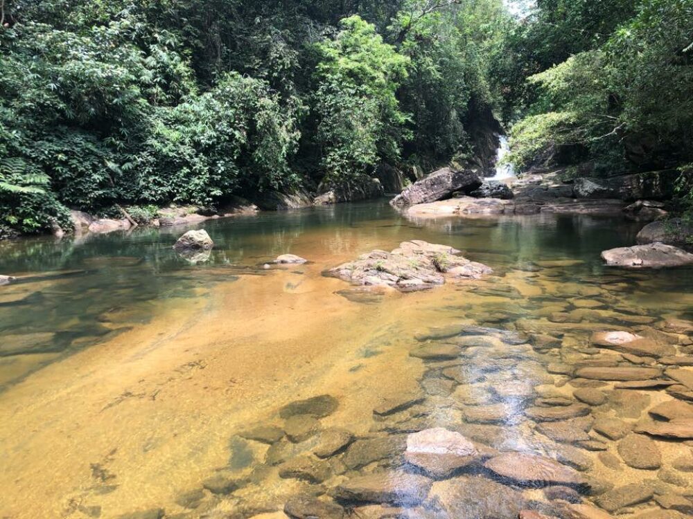 Jansens Bungalow Sri Lanka Sinharaja original asia rondreis sri lanka malediven rivier