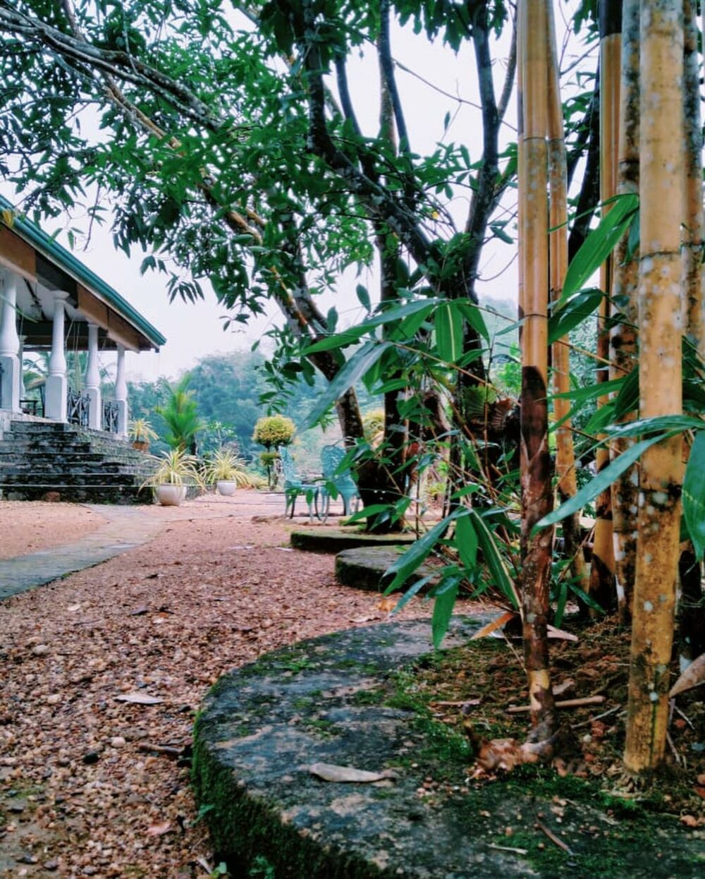 Jansens Bungalow Sri Lanka Sinharaja original asia rondreis sri lanka malediven tuin