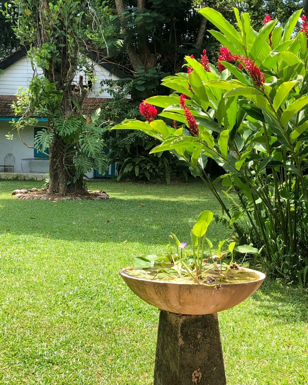 Kandyan Manor Homestay Sri Lanka trincomalee original asia rondreis sri lanka malediven tuin