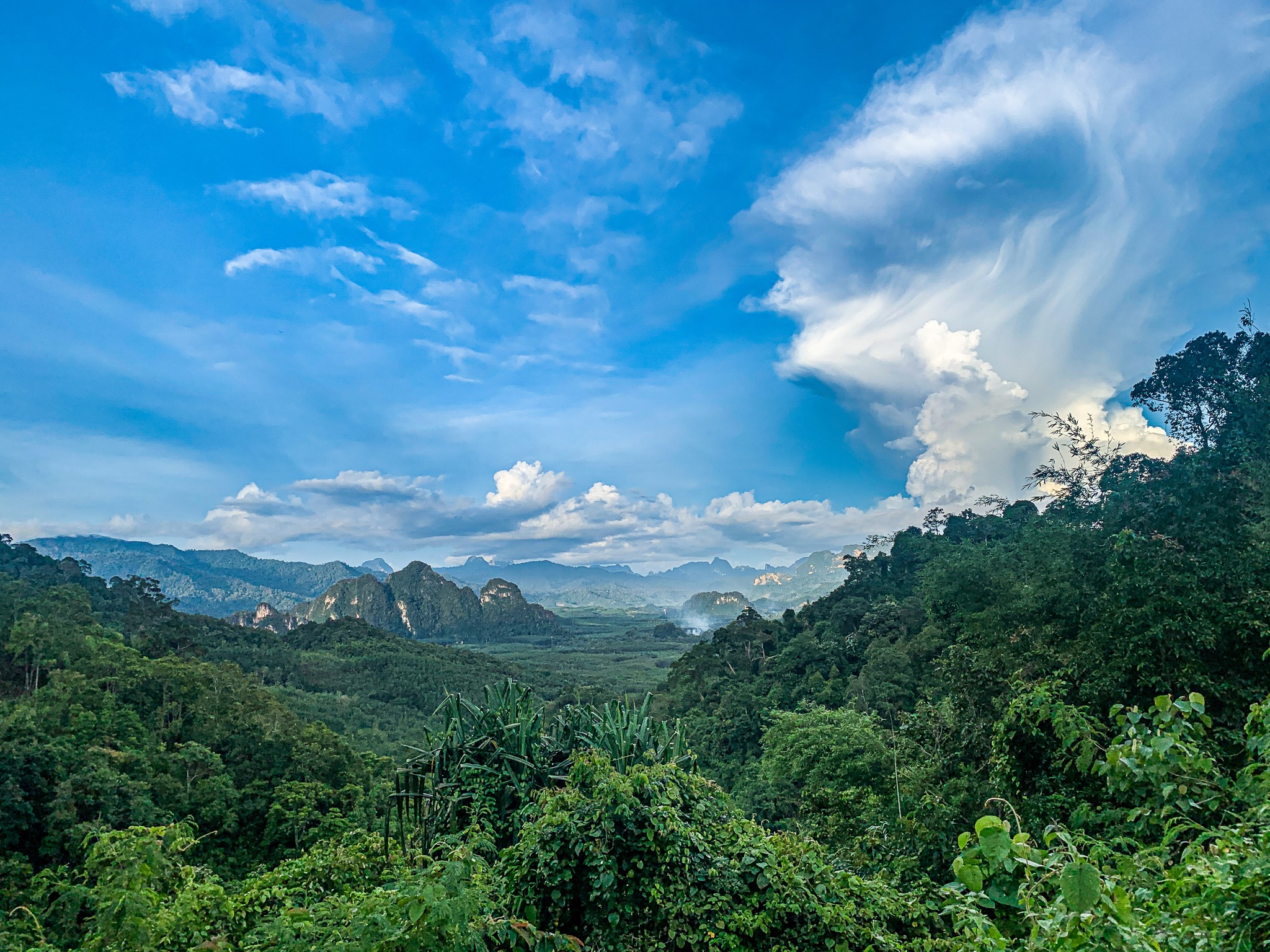 Khao Sok Riverside Cottages Hotel Rondreis Thailand Vakantie Original Asia