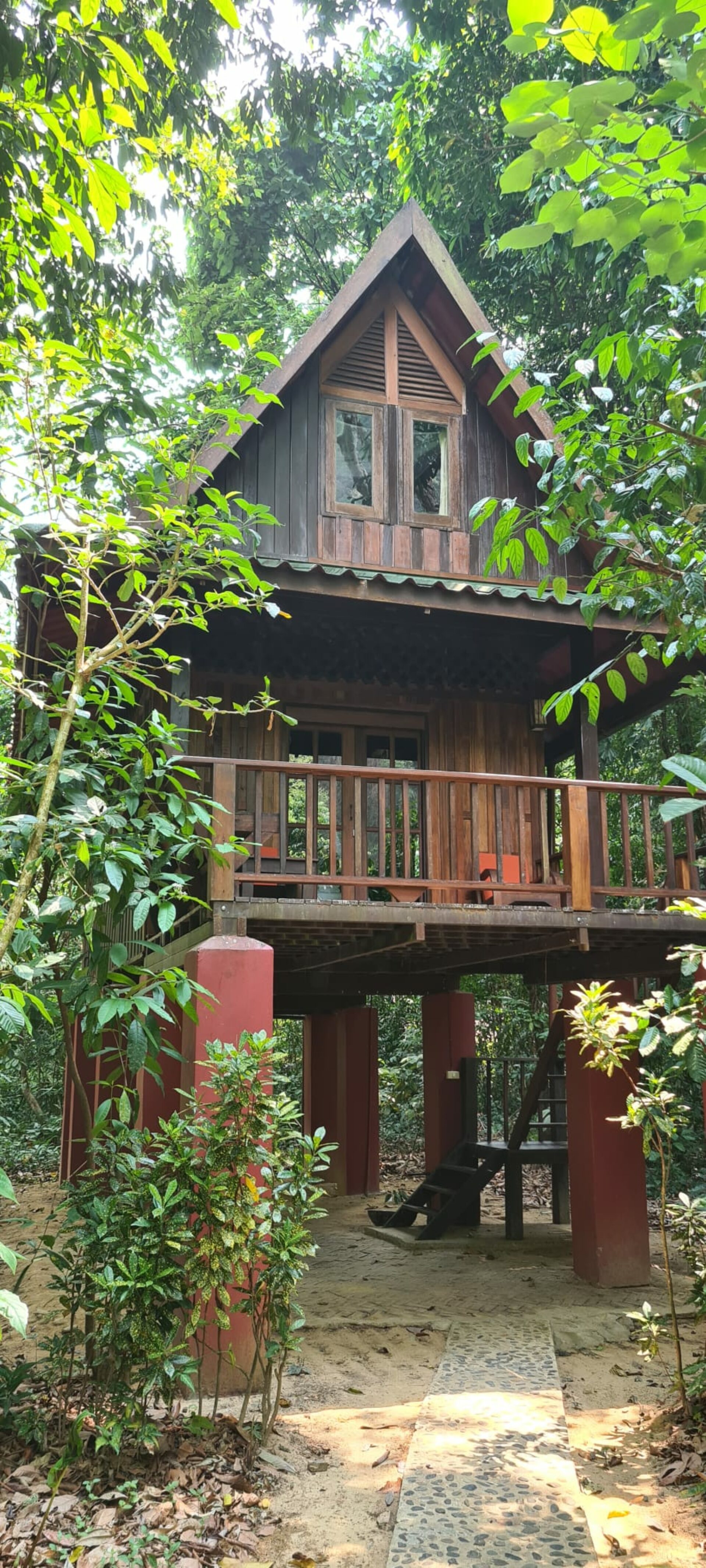 Our Jungle House Khao Sok Hotel Rondreis Thailand Vakantie Original Asia