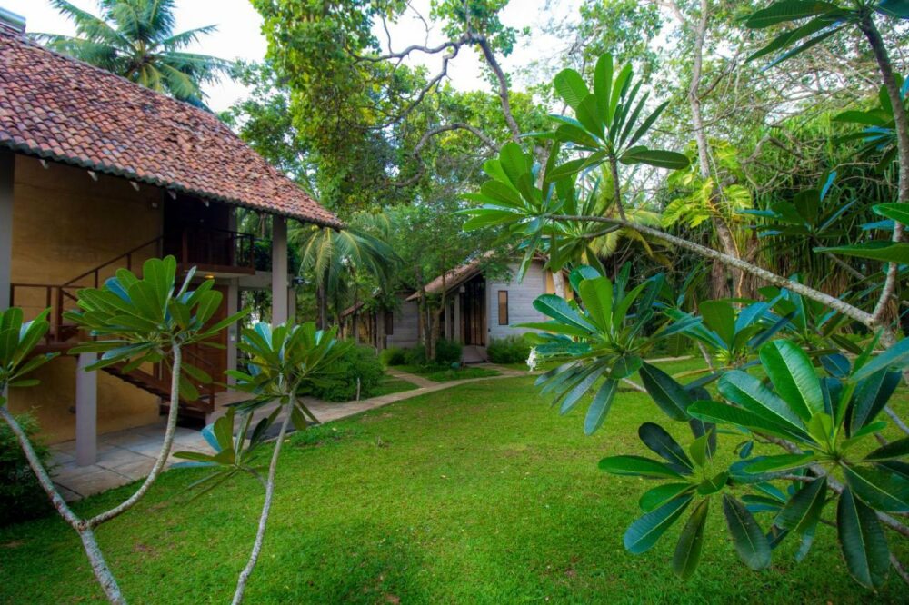 Palm Paradise Cabanas Tangalle Rondreis Sri Lanka Vakantie Original Asia