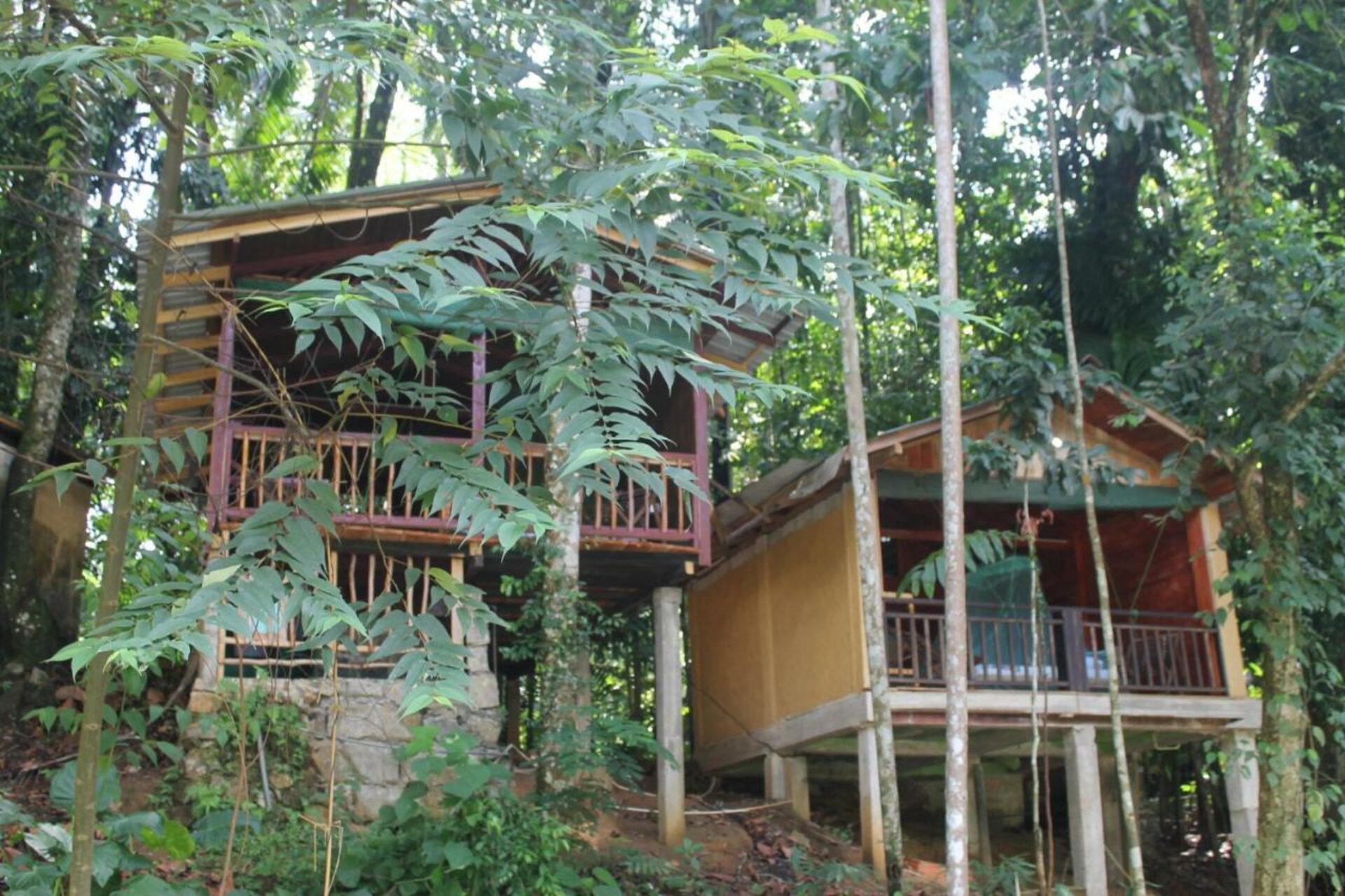 Rafters Retreat Kitulgala Rondreis Sri Lanka Vakantie Original Asia