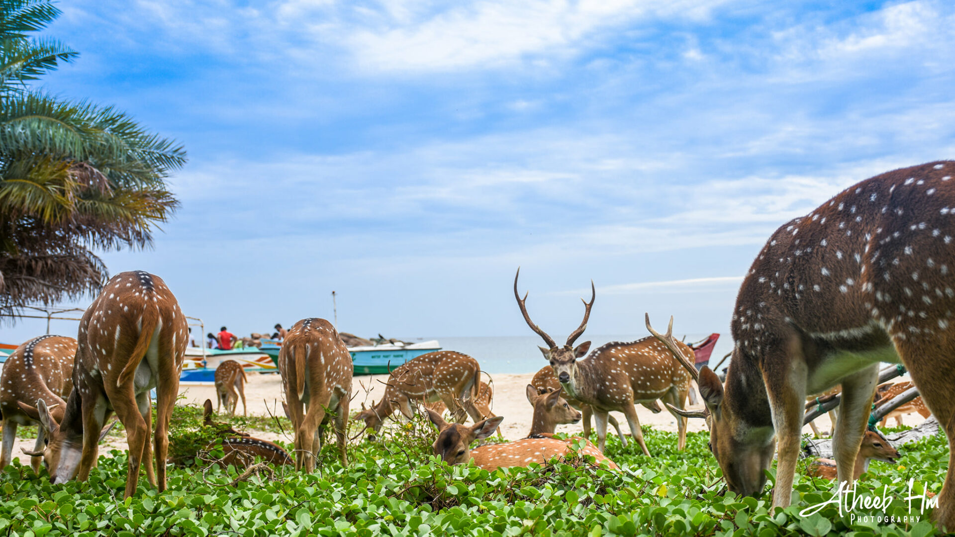 Trinco Blu Resort Sri Lanka trincomalee original asia rondreis sri lanka malediven hert