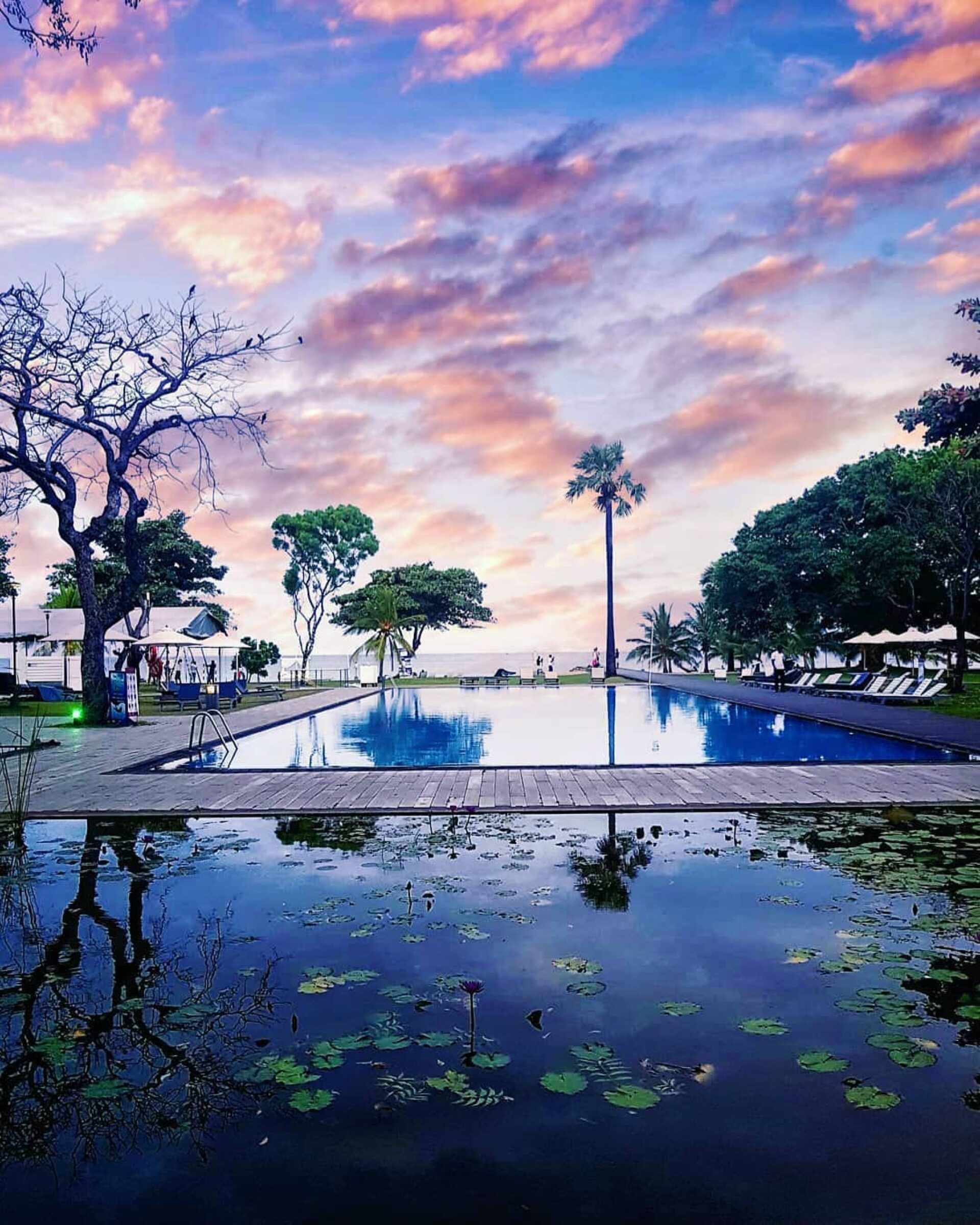 Trinco Blu Resort Sri Lanka trincomalee original asia rondreis sri lanka malediven pool1