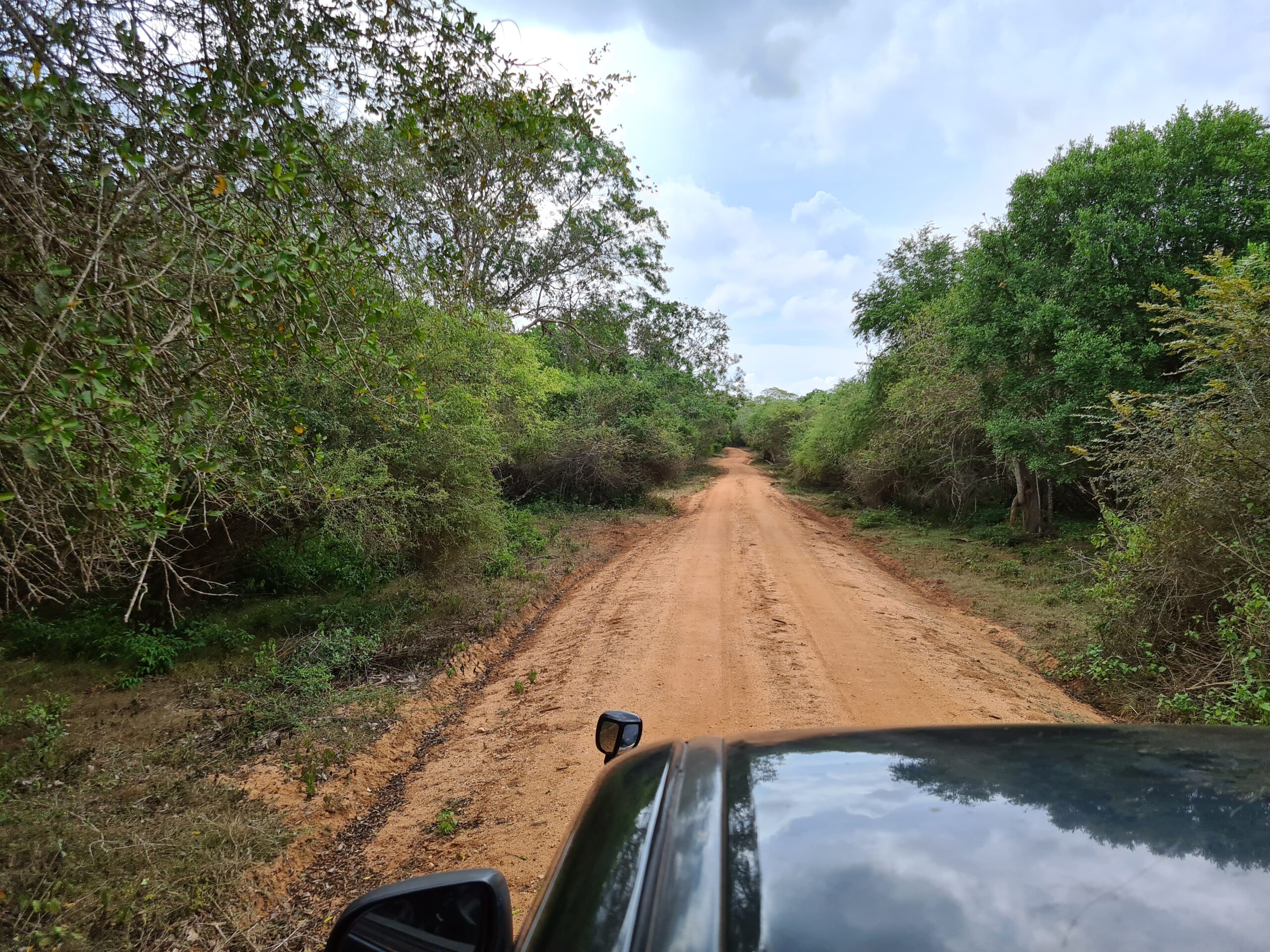 Original Asia Home Wilpattu National Park eigen jeep natuur algemeen onderweg