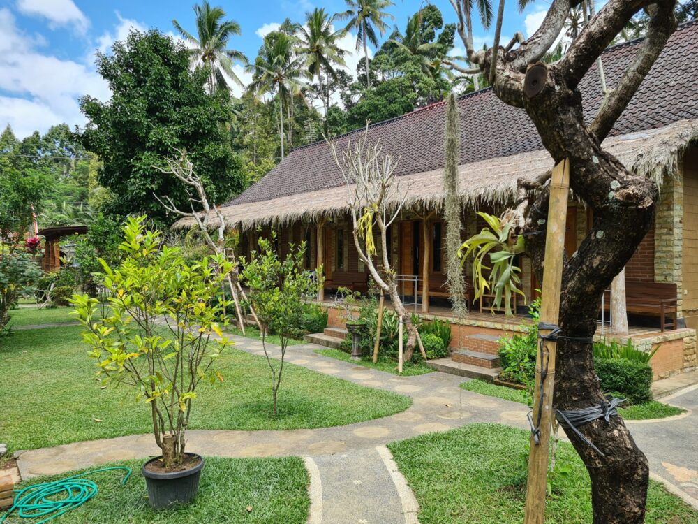 D'Karang Village Homestay Bali Rondreis Vakantie Original Asia