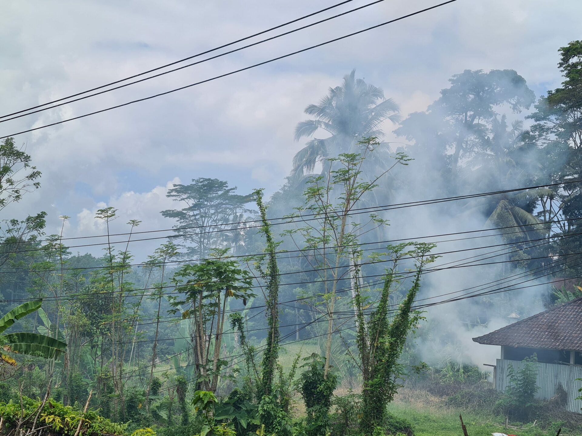 D'Karang Village Homestay Bali Rondreis Vakantie Original Asia