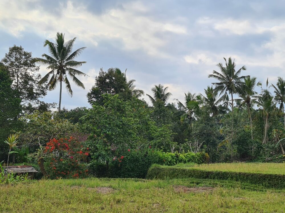 Home Undisan Bali Indonesie Original Asia zelf eigen foto