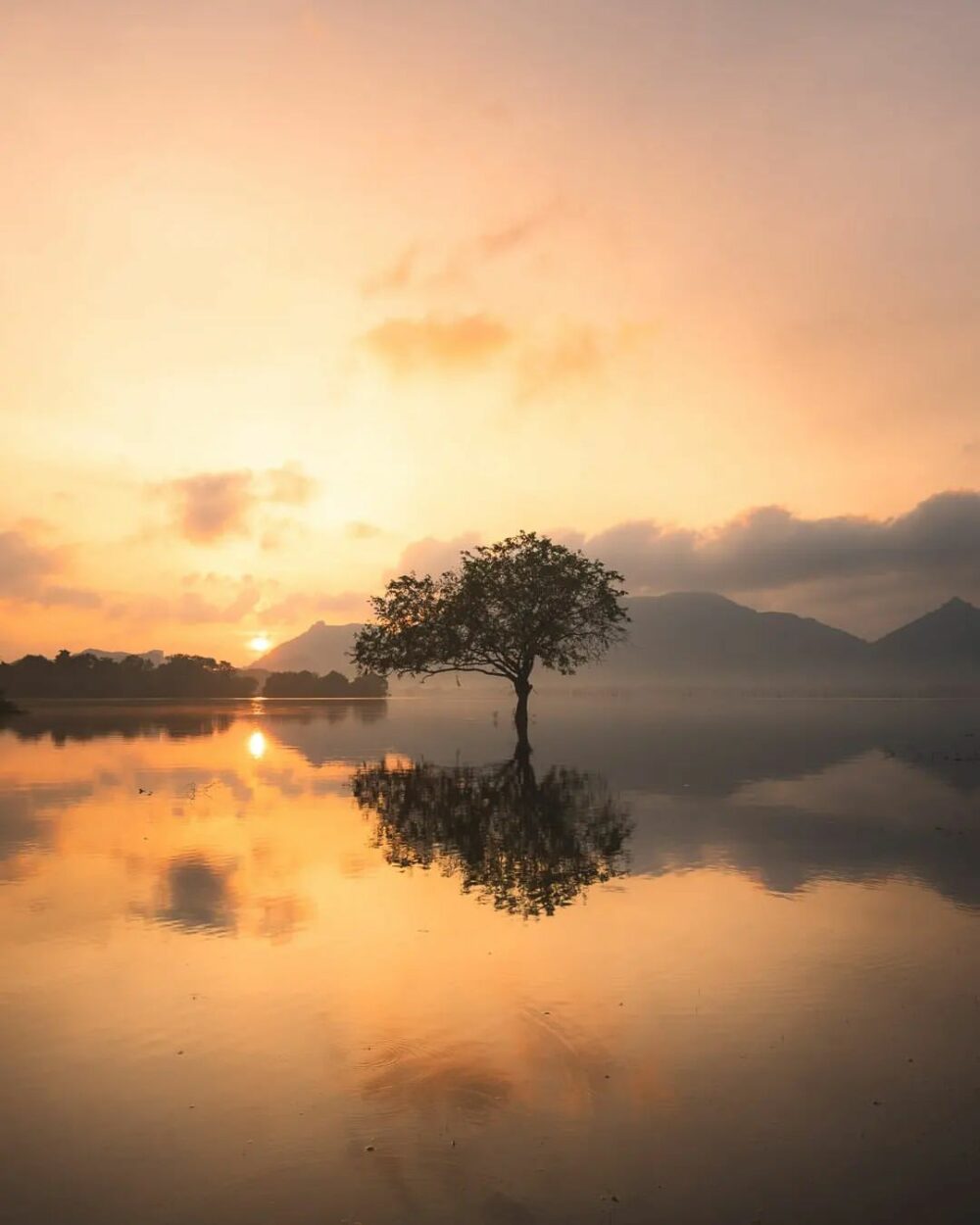 Amaya Lake Dambulla Resort Rondreis Sri Lanka Vakantie Original Asia