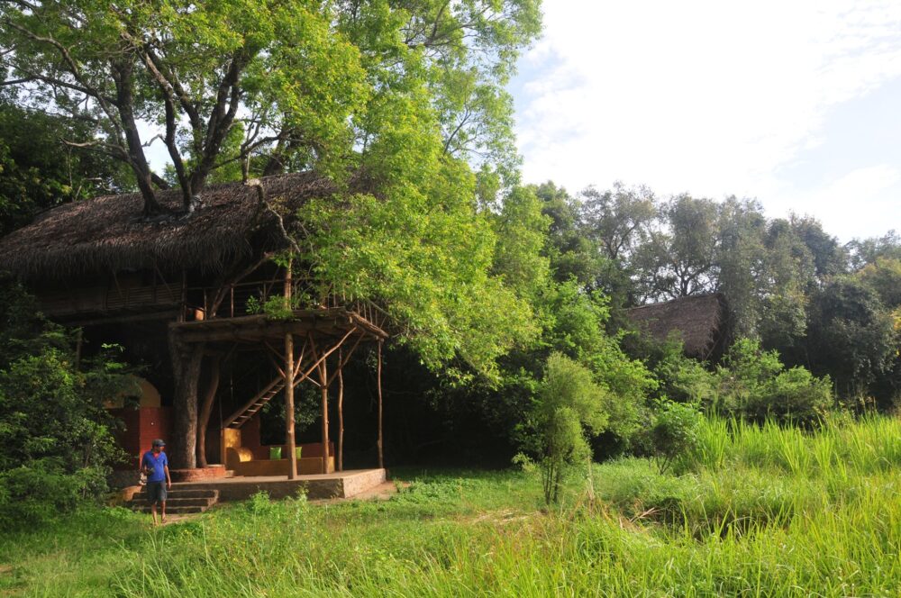 Back of Beyond Wild Haven Dehigaha Ela Hotel Culturele Driehoek Rondreis Sri Lanka Vakantie Treehouses Original Asia