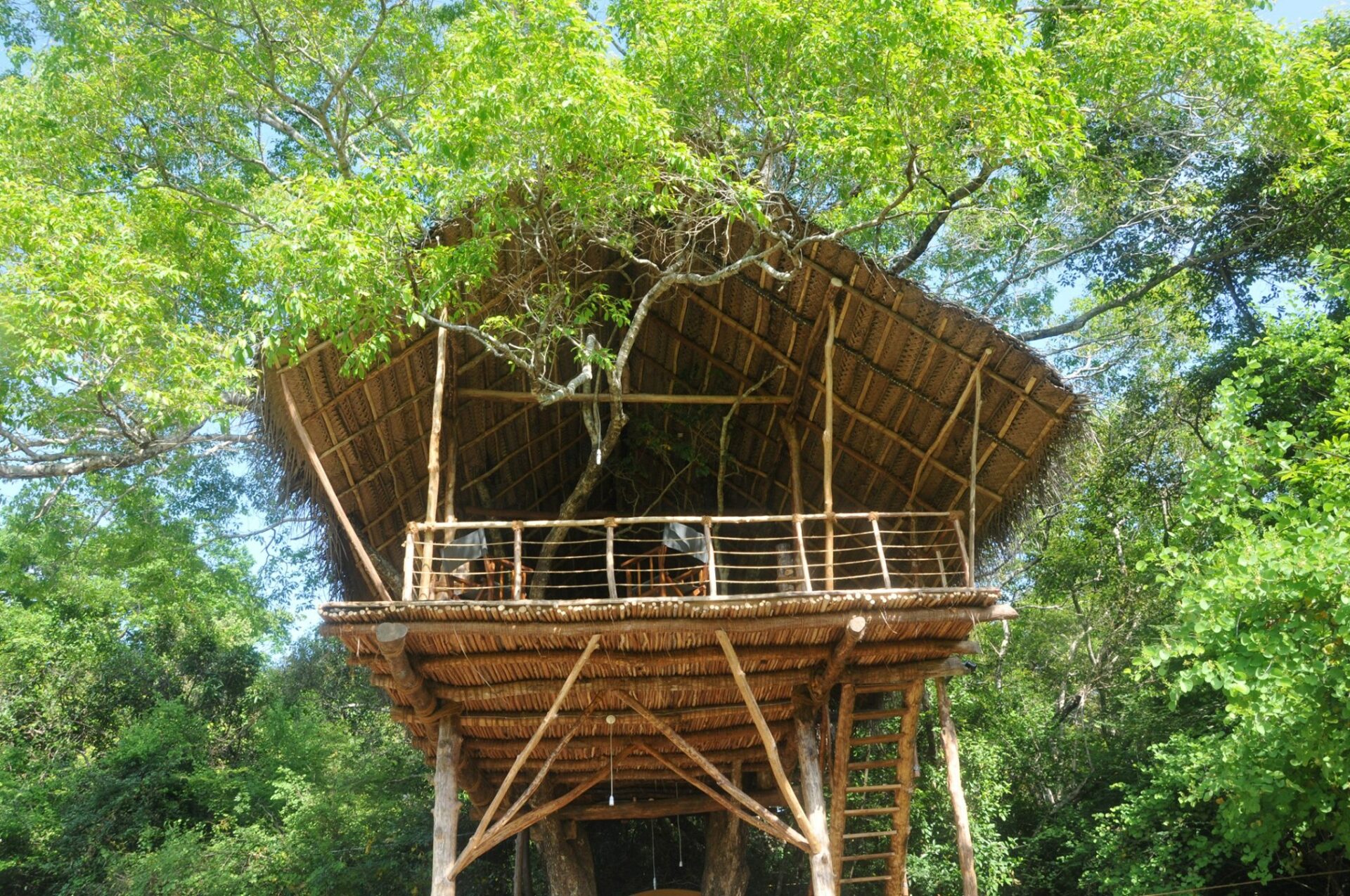 Back of Beyond Wild Haven Dehigaha Ela Hotel Culturele Driehoek Rondreis Sri Lanka Vakantie Treehouses Original Asia