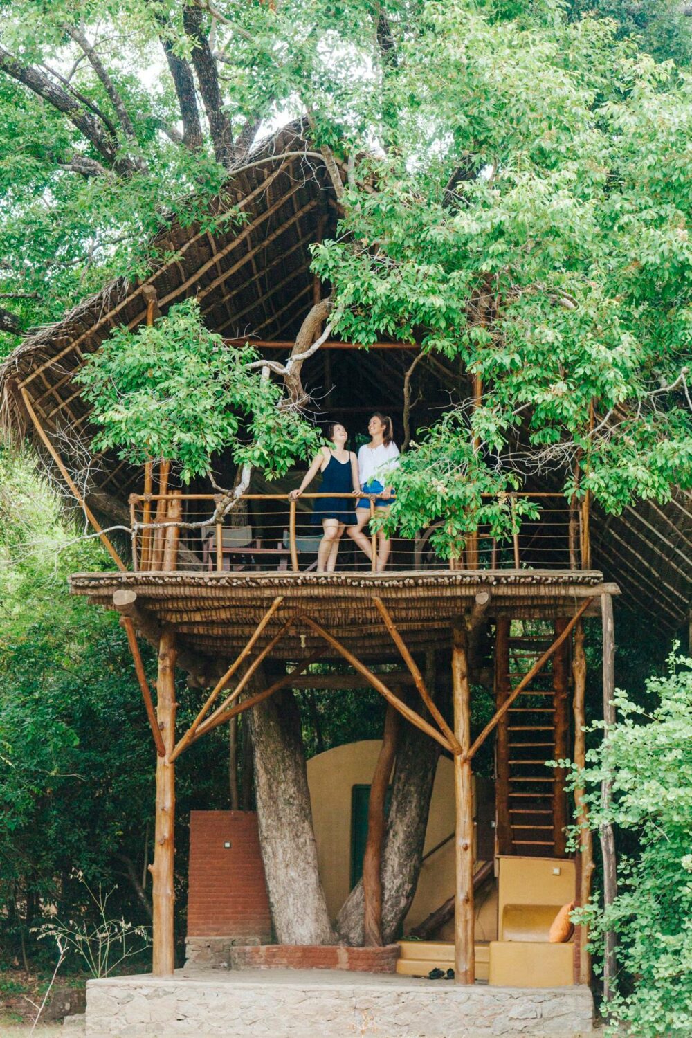 Back of Beyond Wild Haven Dehigaha Ela Hotel Culturele Driehoek Rondreis Sri Lanka Vakantie Treehouses Original Asia