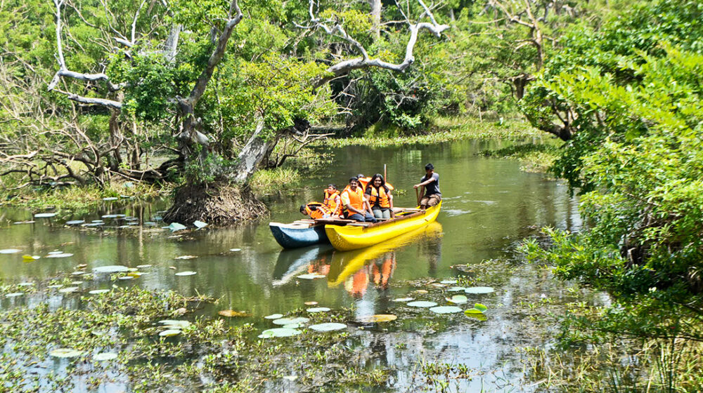 Cinnamon Lodge Habarana Rondreis Sri Lanka Vakantie Original Asia