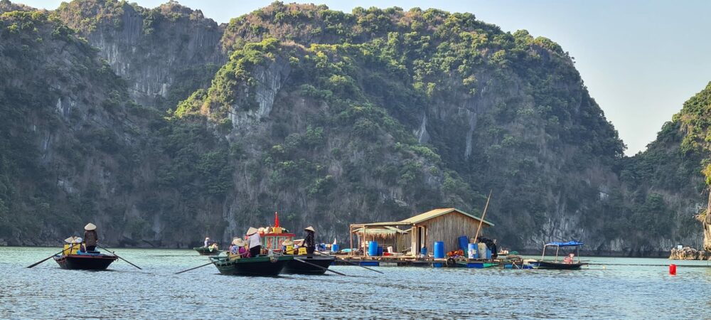 Dragon Legend Cruise Boot Halong Bay Bai Tu Long Bay Luxe Rondreis Vietnam Vakantie Original Asia