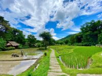 Fern Resort Mae Hong Son Rondreis Thailand Vakantie Original Asia