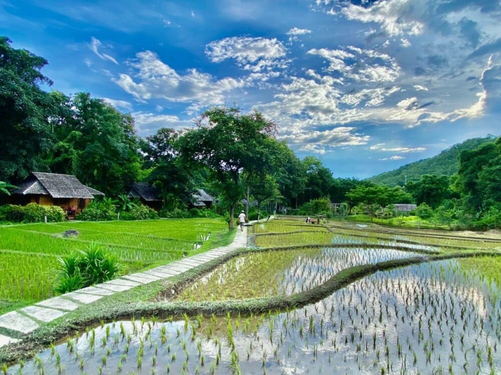 Fern Resort Mae Hong Son Rondreis Thailand Vakantie Original Asia