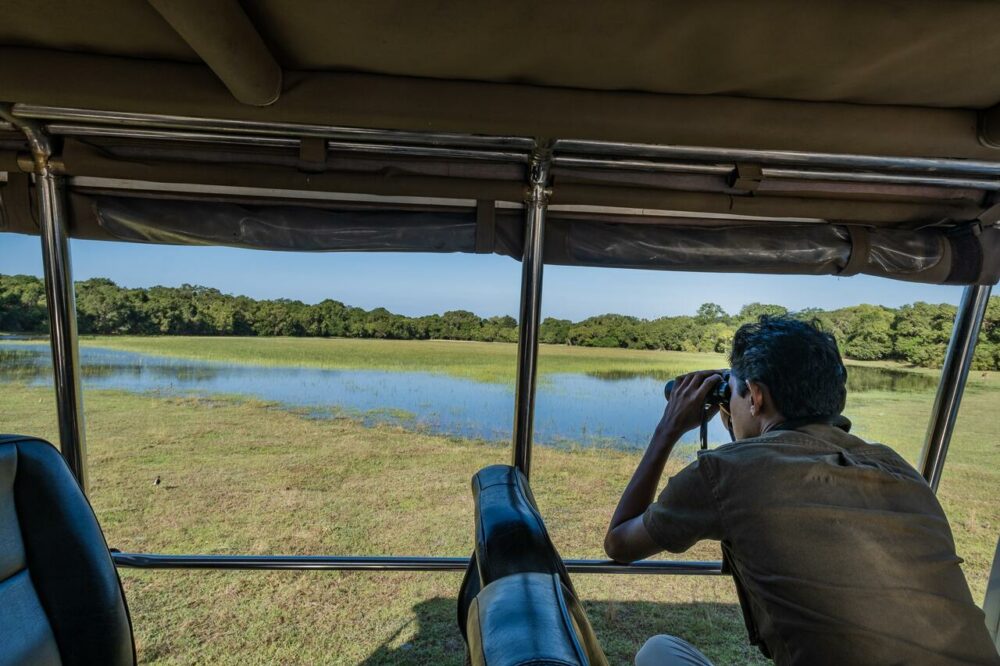 Leopard Trails Wilpattu Rondreis Sri Lanka Vakantie Original Asia