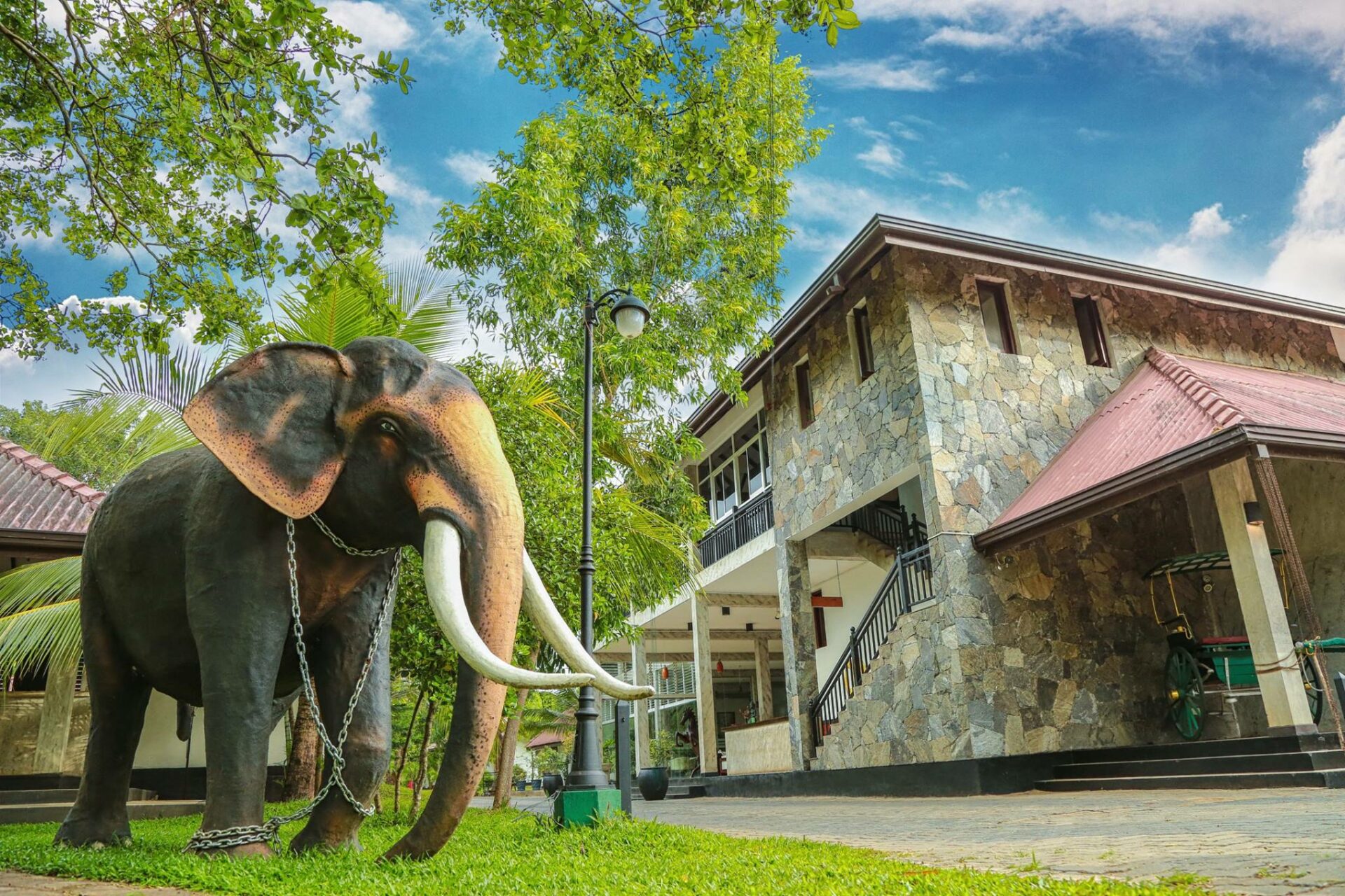 Oak Ray Elephant Lake Habarana Rondreis Sri Lanka Vakantie Original Asia