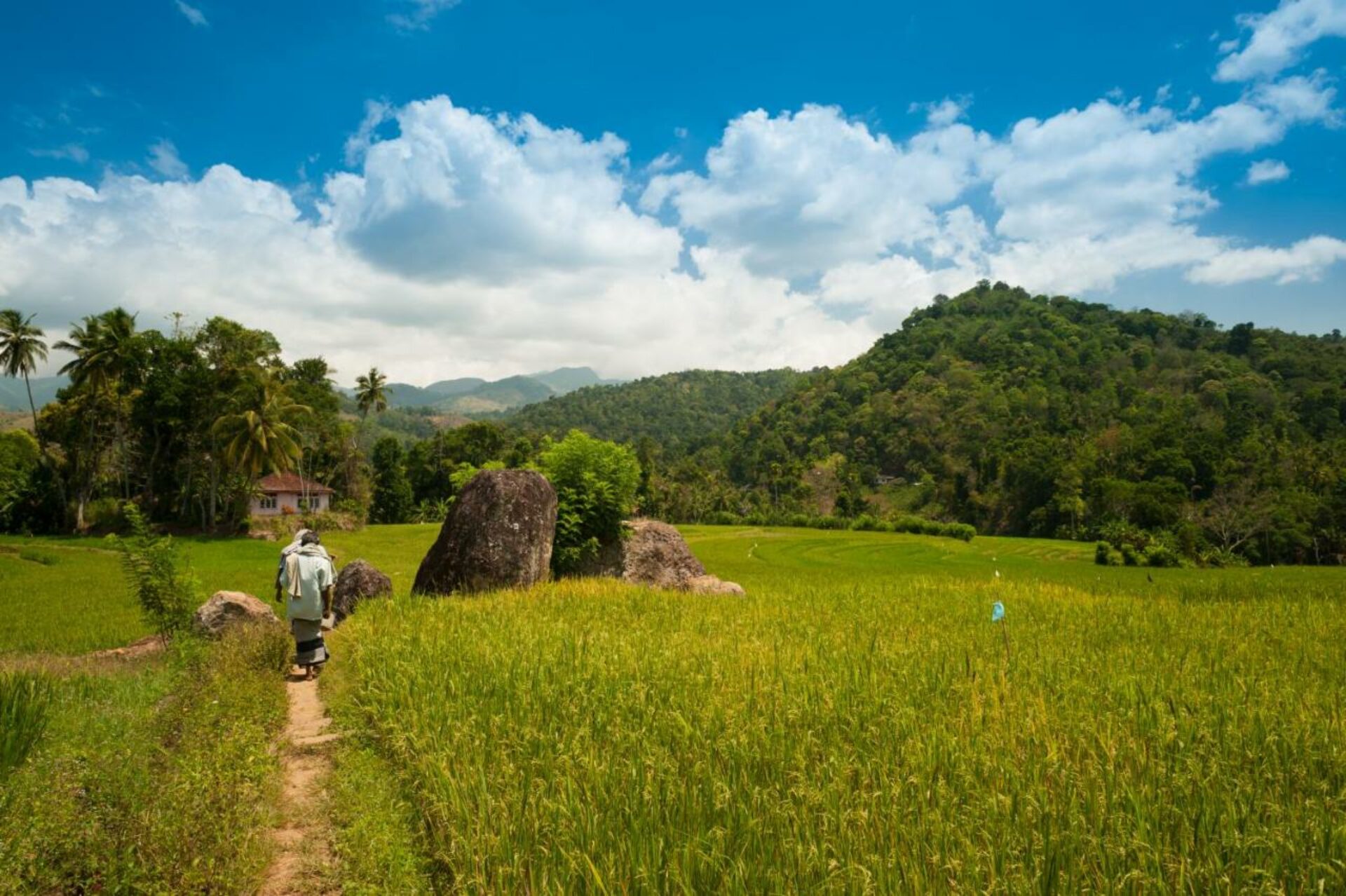 Polwaththa Eco-Lodges Kandy Rondreis Sri Lanka Vakantie Original Asia