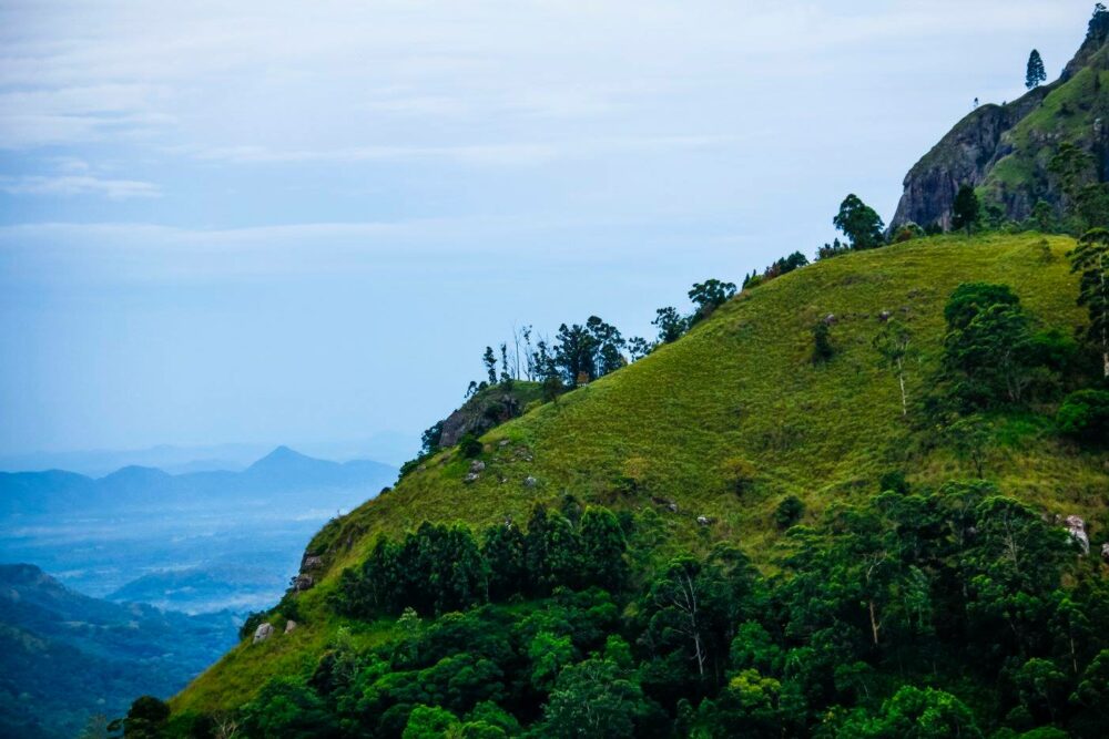 Serenite Ella Hotel Rondreis Sri Lanka Vakantie Original Asia