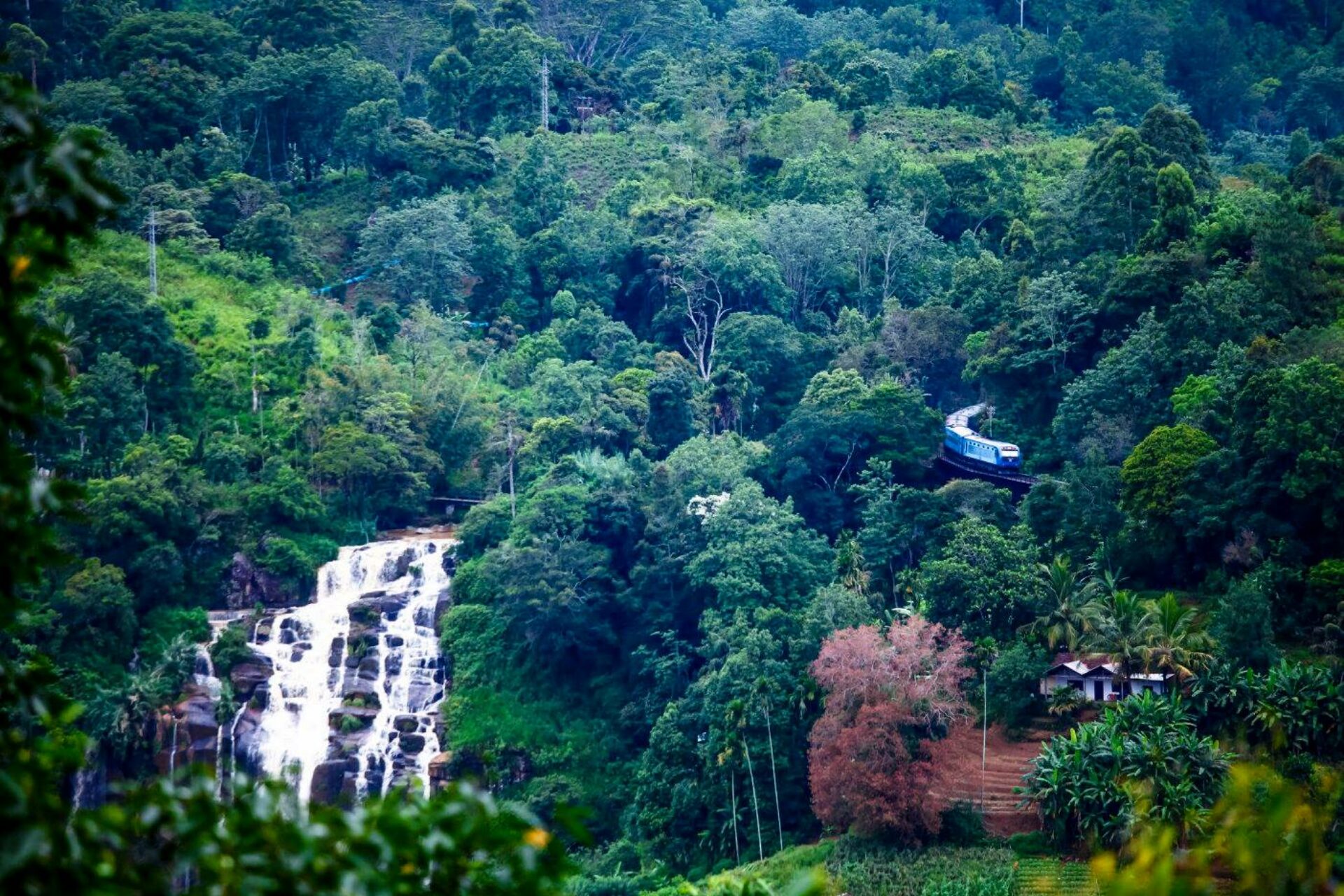 Serenite Ella Hotel Rondreis Sri Lanka Vakantie Original Asia