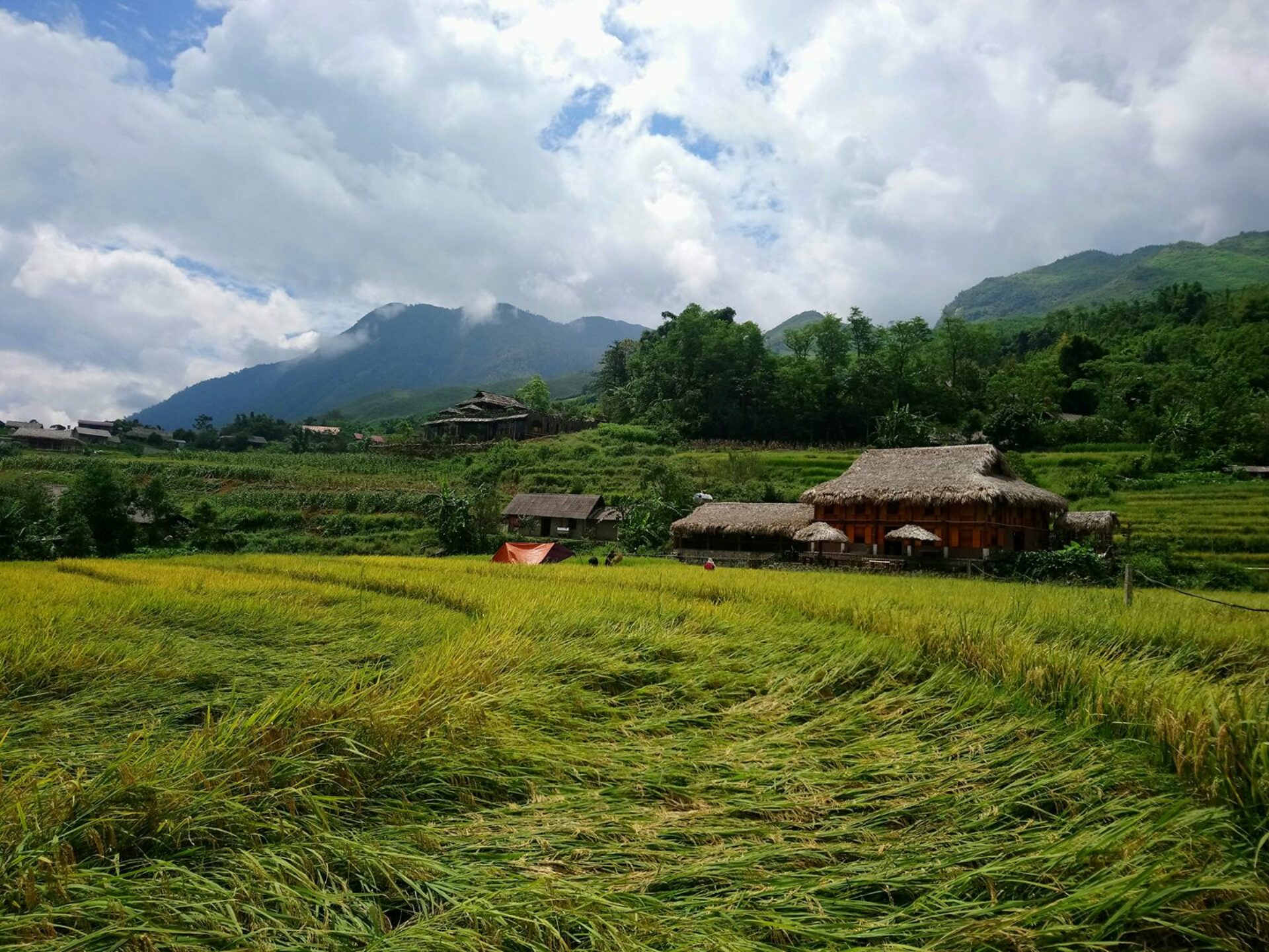 Ta Van Homestay Sapa Rondreis Vietnam Vakantie Original Asia