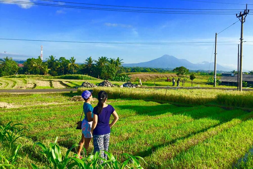 The Dukuh Retreat homestay