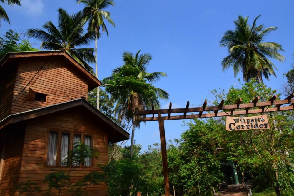 Wilpattu Tree House Lodge Hotel Rondreis Sri Lanka Vakantie Original Asia