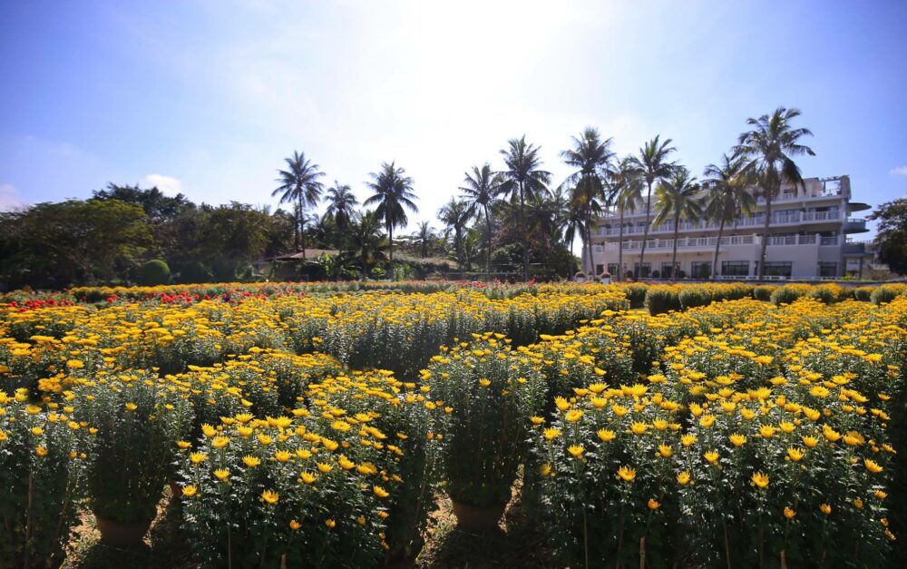 Azerai La Residence Hue Rondreis Vietnam Vakantie Original Asia