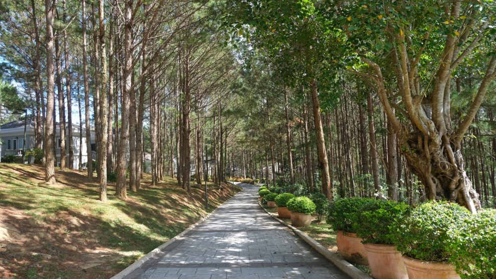 Dalat Edensee Lake Resort Dalat Rondreis Vietnam Vakantie Original Asia