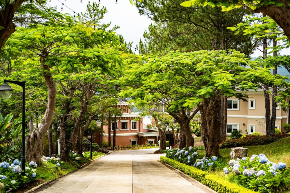 Dalat Edensee Lake Resort Dalat Rondreis Vietnam Vakantie Original Asia