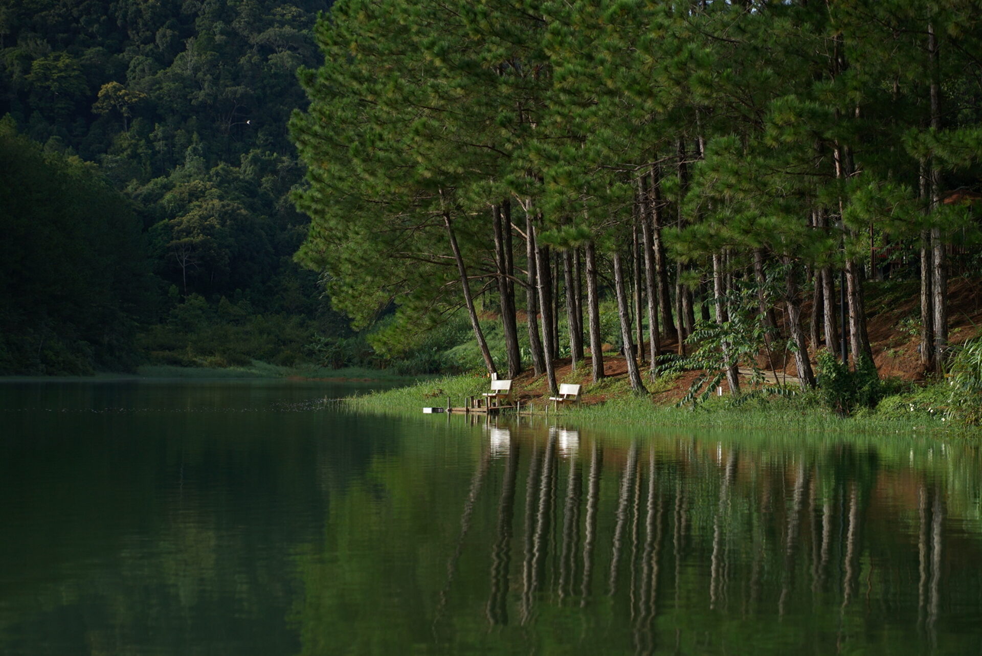 Dalat Edensee Lake Resort Dalat Rondreis Vietnam Vakantie Original Asia