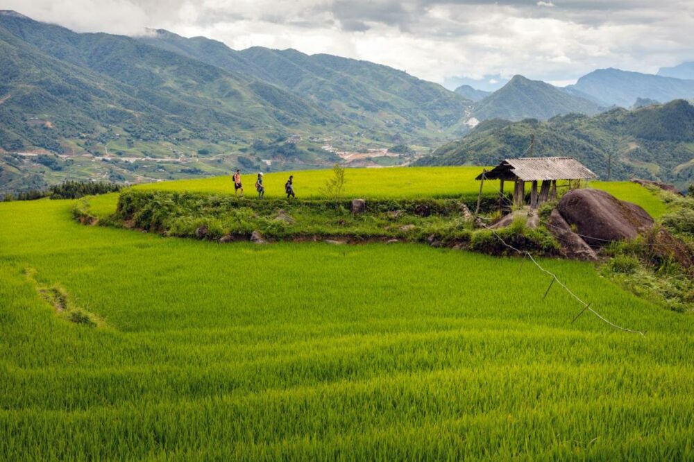 Laxsik lodge Sapa Rondreis Vietnam Vakantie Original Asia