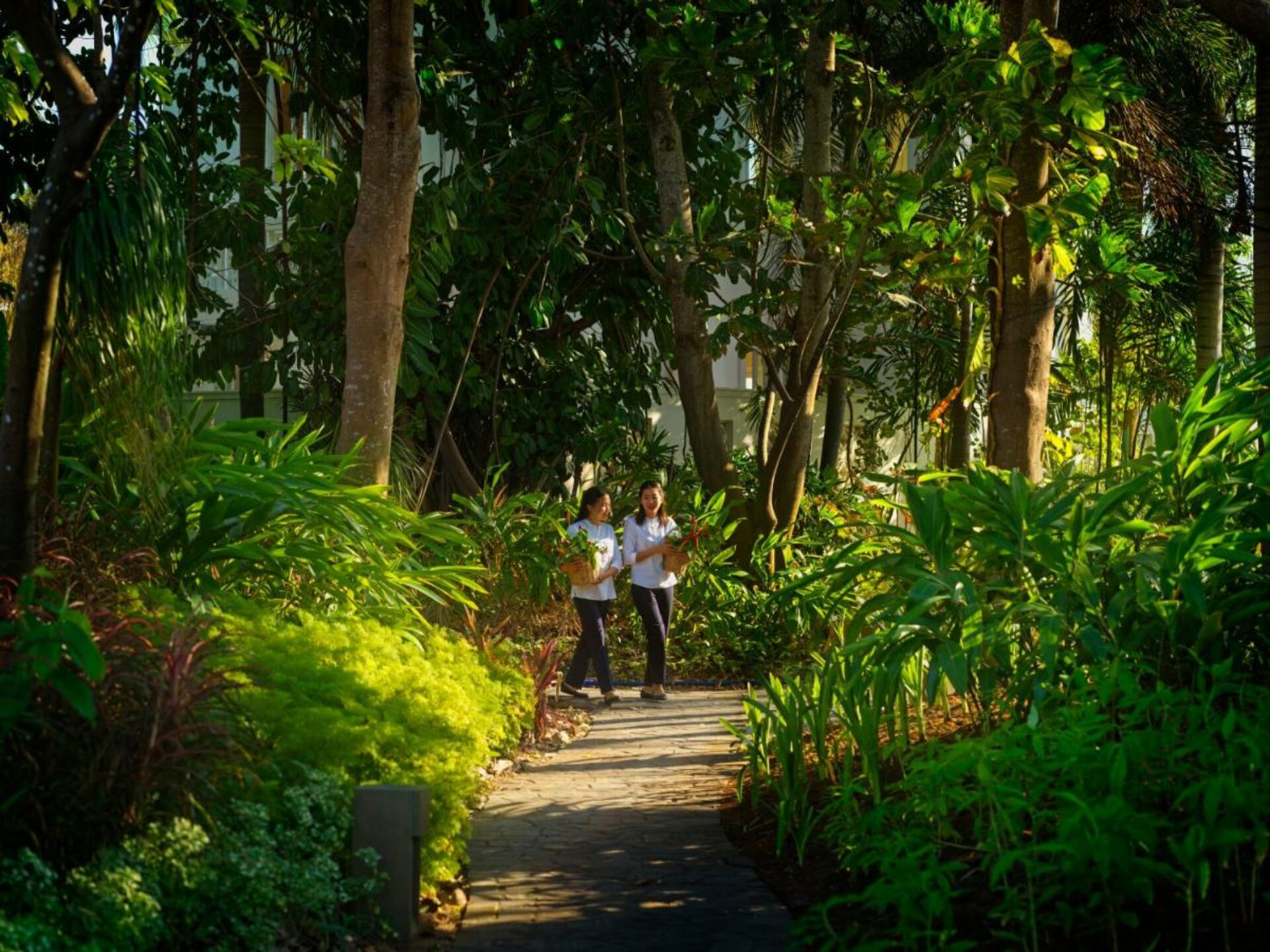 Azerai Ke Ga Bay Resort Ke Ga Rondreis Vietnam Vakantie Original Asia