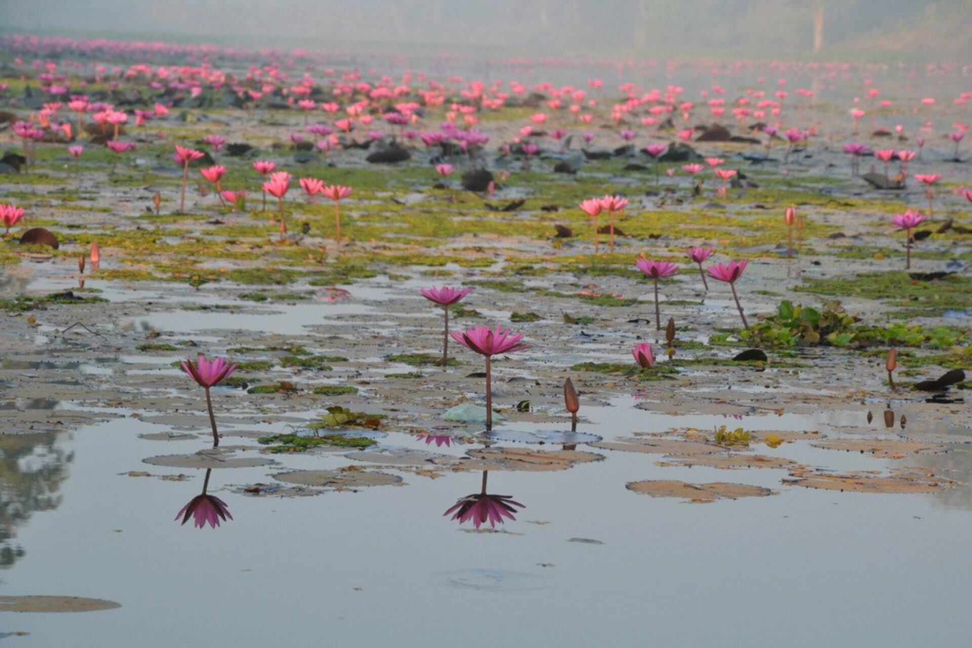 Banteay Chhmar Homestay Rondreis Cambodia Vakantie Original Asia